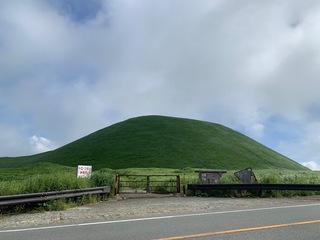 IMG_1386.jpeg